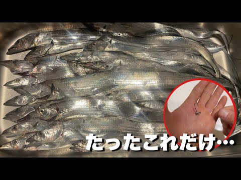 真冬でもタチウオが爆釣する新釣法を公開します。