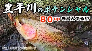 Toyohira River fishing season has begun! A silent rainbow trout over 80cm lurks in the water!