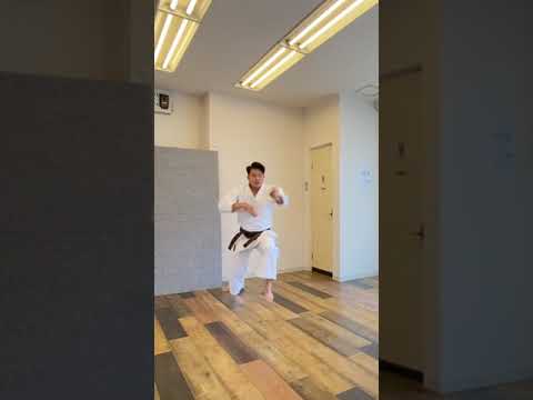 【空手 形】アーナンダイ（消えちゃった） #shorts #karate #kata