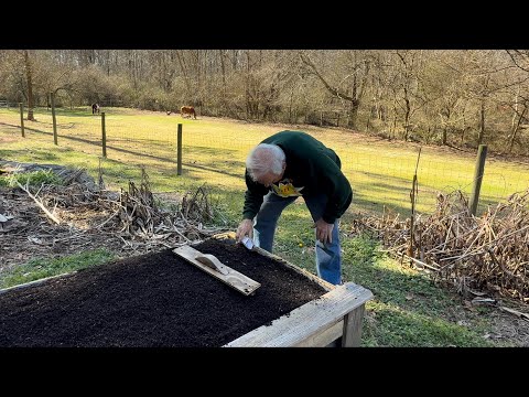 Garden Update for February 15, 2025