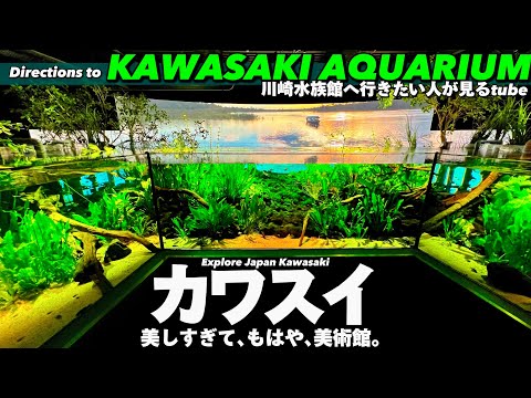 🐟【4K.川崎水族館】ビルの中にある淡水魚水族館カワスイへの行き方をご案内【アクセス|川崎駅】Directions to Kawasaki Aquarium. Japan Travel