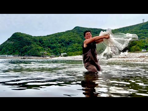 Japanese Fisherman Casts Fishing Nets Worth 40,000 Yen on Shodoshima!