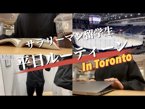 【サラリーマン留学生】5日間の平日ルーティーンin Toronto　STUDY VLOG #06