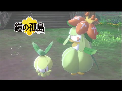 色違いと行くヨロイ島！謎の蜜ってなに！？【ポケットモンスターソード】part5