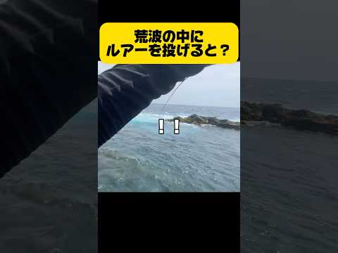 荒波の中にルアーを投げると…？#shorts #釣り