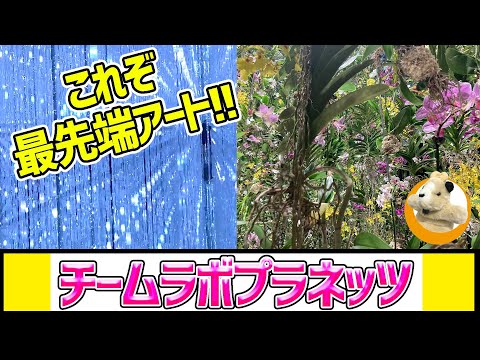 【会期延長決定!!】話題沸騰のデジタルアートの世界！チームラボの提供するアートとはなんぞや？