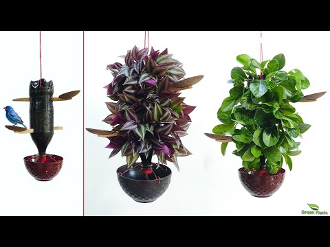 Best Indoor Hanging Plants Ideas to Capitalize on Vertical Space | Hanging Planters//GREEN PLANTS