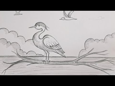 how to draw heron//bagule ka chitra//bird drawing easy