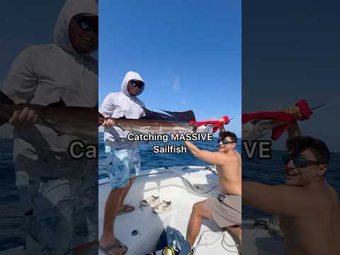 Catching MASSIVE Sailfish