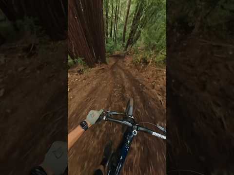 Charging the steeps in Santa Cruz California. #mountainbiking #pov #gopro