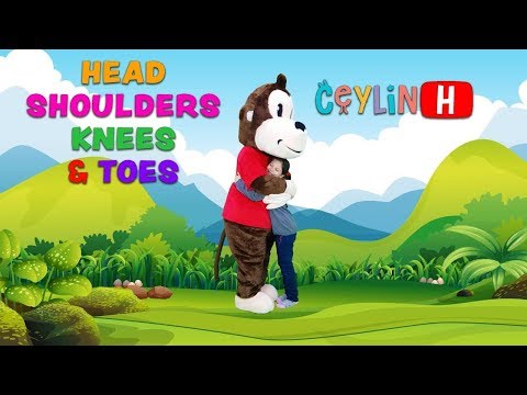 Head Shoulders Ceylin &Koko 교육용 어린이 노래 및 동요 Lagu anak-anak pendidikan أغاني الأطفال والقوافي الحضانة