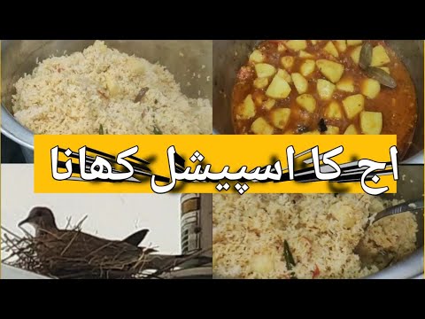 Aaj ka Special Khana,Aloo Walay Chawal recipe, Pakistani new cleaning vlog