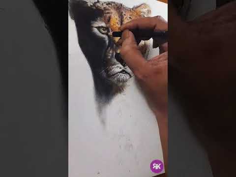 Drawing Cheetah  Portrait#explore#trending#viral#art#artist#colorpencildrawing #cheetah#cat#bigcat