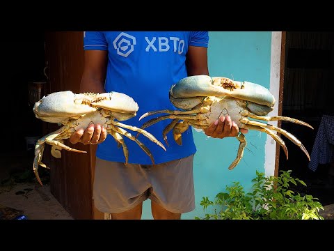 Giant Curry Crab - Sri Lankan Food