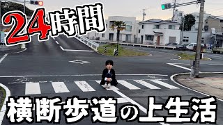 【危険】24時間横断歩道の上で生活してみたwwwww