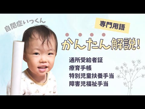 【自閉症】専門用語を簡単解説！通所受給者証と療育手帳の違いとは？知らないと損！特別児童扶養手当と障害児福祉手当について