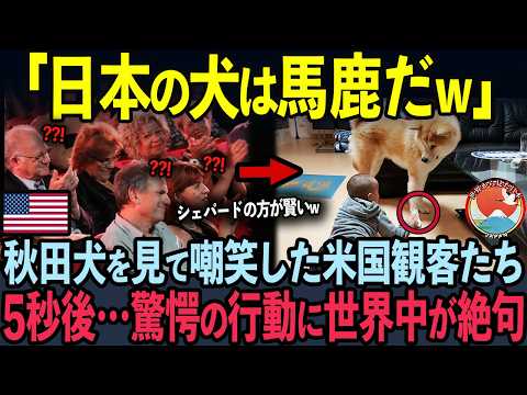 【海外の反応】秋田犬を緊急特集した米国CNNに世界196カ国から問い合わせが殺到した理由