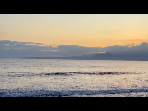 あけおめ釣りLive🎣サーフで朝マズメだけ(結果ボウズ)