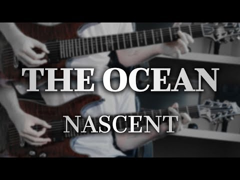 The Ocean - Devonian: Nascent (Guitar Cover with Play Along Tabs)