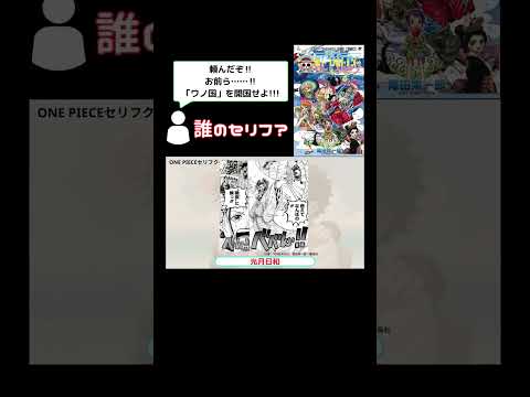 【名シーン】誰のセリフか全部わかる？ONE PIECEセリフクイズ！【ワノ国編】#shorts