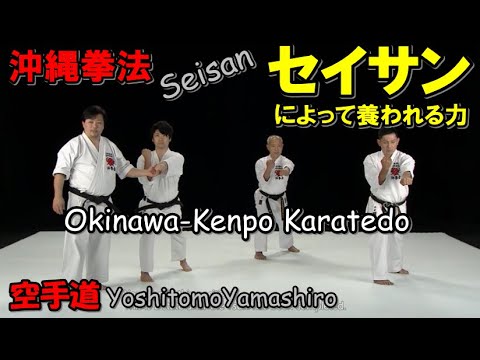 okinawa kenpo seisan yoshitomo yamashiro karatedo kata 沖縄拳法 セイサン