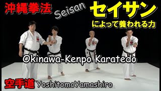 okinawa kenpo seisan yoshitomo yamashiro karatedo kata 沖縄拳法 セイサン