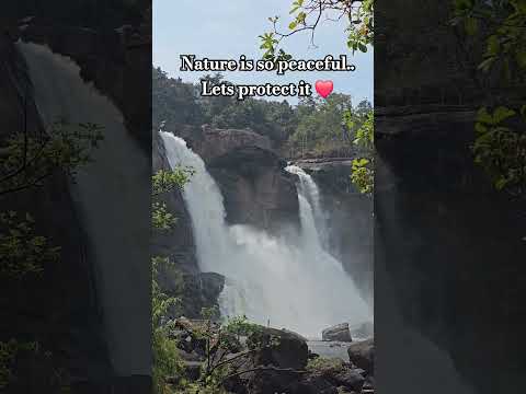 ⭐⭐⭐Watch Detour in my channel to see the full videonof Athirampalli falls and Valparai⭐⭐⭐