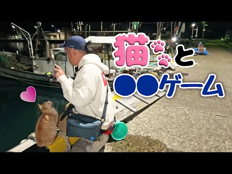 【ライトゲーム】山形の夜〇〇狙い釣行！猫と〇〇とキムソウ！