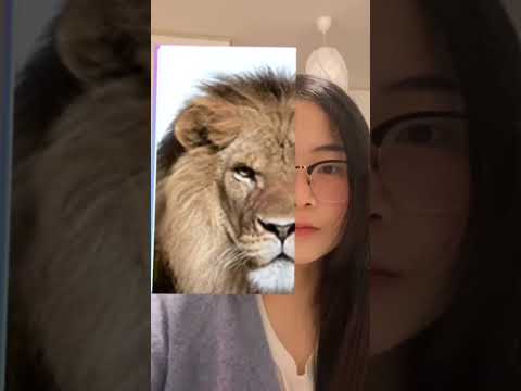 Which animal twin you are | funny fails | wait for the end 😂 tiktok filter 😂 #shorts #funnyvideos