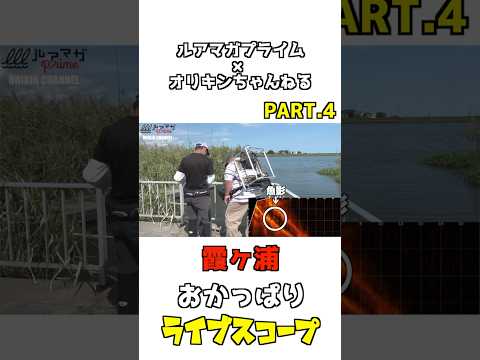 ライブスコープおかっぱりPART.4【ルアマガプライム✖︎オリキンちゃんねる】