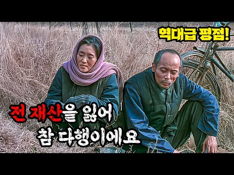 ≪평론가들조차 굴복≫ 단 한편의 이야기로 삶에 대한 모든 것을 보여준 역대급 명품 영화!!!