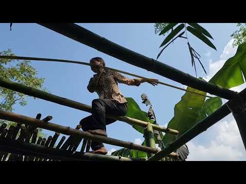 FULL VIDEO: 60 days single mother builds bamboo house in forest _ lives off grid _lý tiểu sao