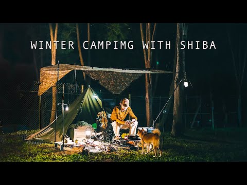 Go camping by the lake in winter with Shiba Inu