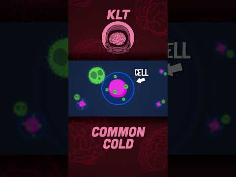 Germs Cause The Common Cold! | KLT Anatomy #shorts