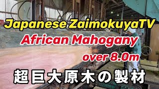 【Sawing/製材】Mahogany ｜世界最高のカウンターテーブル製造工程/マホガニー製材