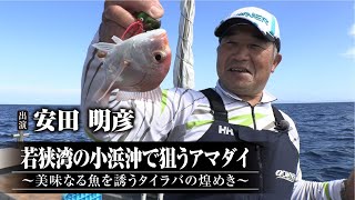 #489 若狭湾の小浜沖で狙うアマダイ〜美味なる魚を誘うタイラバの煌めき～