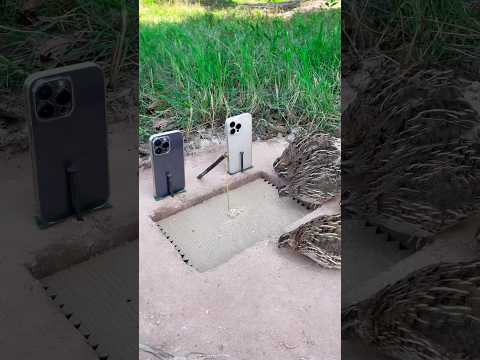 Create Amazing DIY Quail Trap Using Iphone 14Promax And 16Promax #shorts