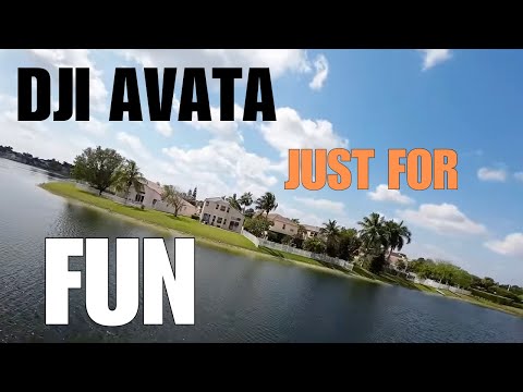 DJI Avata - Just For Fun!