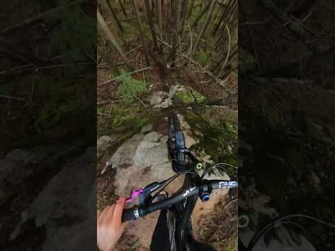 Scariest Mountain Bike Trail I have ridden this year! (So far) #mountainbiking #freeride