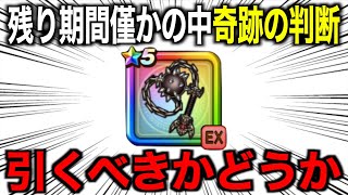 破壊の鉄球最終判断…ゆずみんの答えはこれです【ドラクエウォーク】【ドラゴンクエストウォーク】