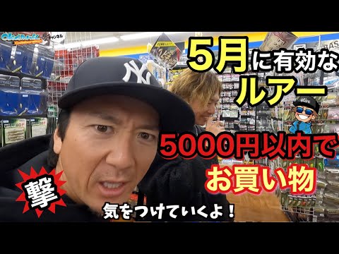 バスプロ2人が本気で悩む！吉田撃&大西健太が5000円以内で選ぶルアー【メーカー縛り無し】