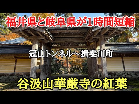 新板垣トンネル開通記念#おすすめ#旅行 #紅葉、福井県越前市和紙の里から岐阜県揖斐川町がまた近くなったので谷汲山華厳寺の紅葉を見に行きました。