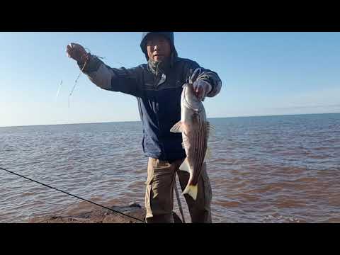 Fishing at Charlottetown pei