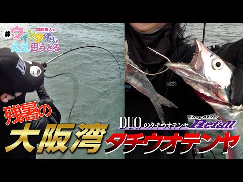 【大阪湾タチウオテンヤ】大阪湾メッチャ！タチウオ釣れまっせ！！！！