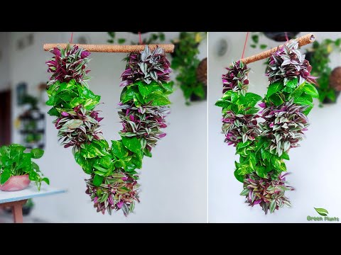 How to Make Indian Wedding Garland or Wreath Using Inch Plants & Money Plants | Wreath//GREEN PLANTS