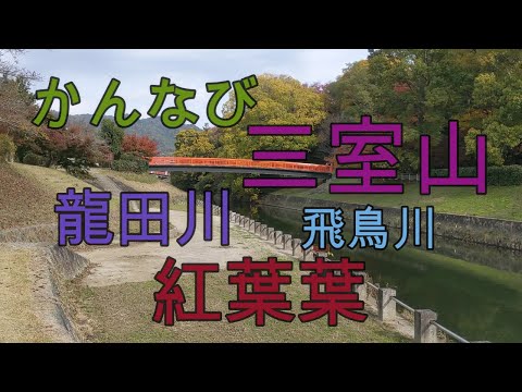 かんなび　三室山　龍田川　飛鳥川　紅葉