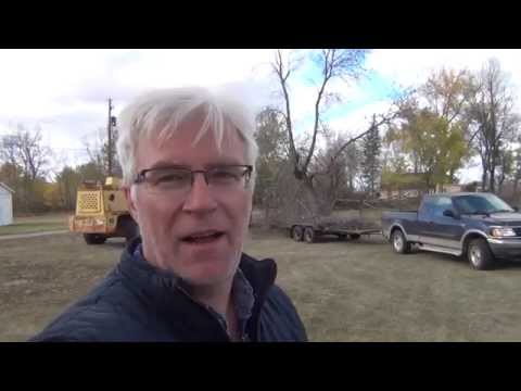 Cutting down 3 trees in time lapse (9 hrs go by in 22 minutes)