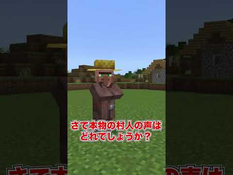 【マイクラ】本物の村人の声分かる？？【マインクラフト・まいくら クイズ】#shorts #マイクラ　※再投稿になります