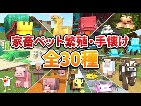 【全30種】ペット家畜モブの繁殖方法と手懐け方を紹介します！【マイクラ1.21/統合版/Switch/スマホ】