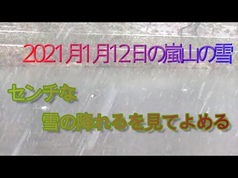 2021年1月12日の嵐山の雪　センチな雪の降れるをよめる